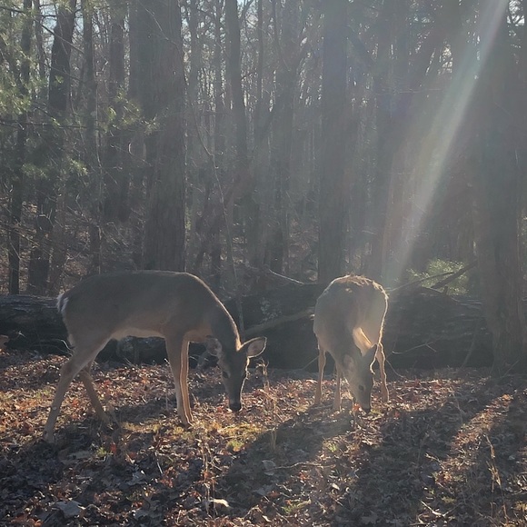 Meet your Posher, Daniel - Picture 1 of 1